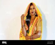 beautiful indian woman wearing yellow saree and smiling at the camera on the occasion of karwa chauth 2t3y8de.jpg from indian in saree on cam show