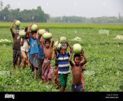 noakhali bangladesh april 06 2018 bangladeshi children carry watermelon at a field in noakhali bangladesh me6554.jpg from bangladesh noakhali xxx bangladeshi gram bangla sex village small school body
