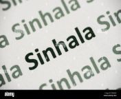 word sinhala language printed on white paper macro pm4afx.jpg from gif sinhala wallpaper