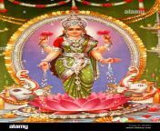 indian goddess lakshmi laxmi goddess of wealth goddess of purity goddess of fortune goddess of power goddess of beauty goddess of prosperity hindu goddess standing on lotus india asia r93f8c.jpg from goddess anna’s