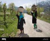 190430 srinagar april 30 2019 xinhua women carry cow dung in baskets for sun drying at a village in kulgam district about 80 km south of srinagar the summer capital of indian controlled kashmir april 29 2019 xinhuajaved dar t6a330.jpg from kashmiri kulgam