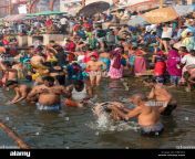 hindu worshippers perform ritual bath and puja prayers at ghats in the river ganges varanasi uttar pradesh india tbf3cx.jpg from hindu puja bath