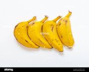 a bunch of four real bananas against white background wb47mn.jpg from banana real