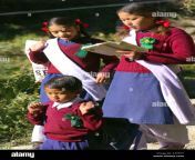 three small young indian schoolgirls schoolboy walking to school morning a1e57y.jpg from himachal pradesh schoolgirls