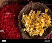 indonesia bali flower for offering bad0ap.jpg from www badoap com