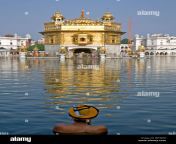 sikh pilgrim bathing in the sacred pool amrit sarovar the golden temple bfh0d0.jpg from sarovar woman bath