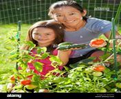 japanese mother and daughter gardening bhdf98.jpg from japan sex daugher and garen father old mashajil mal