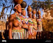 zulu tribes women dancing in traditional clothing shakaland zululand b2303e.jpg from african village tits