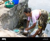 a keralite woman does her washing up in the backwaters kerala india c12k8t.jpg from desi aunty lifting saree and petticoat
