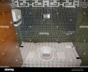 muslim squat toilet drbyp1.jpg from muslim toilet