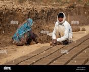 rajasthan india wife prepares soft mud while husband puts it into dwkbfb.jpg from hubby on full mud