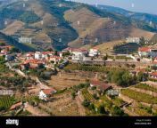 porto wine vineyards alto douro tras os montes portugal unesco world enarf6.jpg from nextpage tras