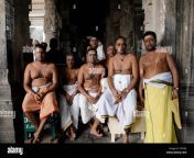 temple priest posing for photograph tiruchendur tamil nadu india no f3fyd5.jpg from tamil nadu poojari sex live