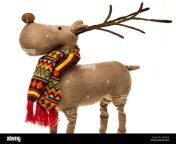 a christmas decoration of rudolph the red nosed reindeer wearing a hg3wh4.jpg from krivon chip