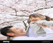 japanese father and daughter with cherry blossoms in a city park htj71t.jpg from japanese fathe