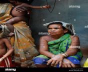 india chhattisgarh bastar tribal gond woman indien chhattisgarh bastar jj7ndp.jpg from adibasi xxx adivasi group jpg 480 480 0 6400