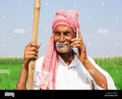 1 indian farmer old man talking cell phone field village kxdcj4.jpg from old indian guy using mobile cam in ba