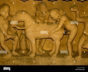 lakshmana tempel erotische skulptur sex mit pferd khajuraho tempel madhya pradesh indien ffyjb0.jpg from pferd sex