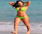wwe diva nikki bella displays her body assets in bikini swimsuit.jpg from wwe nikki bela sexy