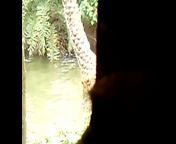 16aa9a298e4ef45ce653ce00dd3cc1f0 1.jpg from bangladeshi gosol video open bathing 12 varshrl
