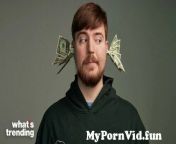 mypornvid fun the controversy behind popular youtuber mr beast explained.jpg from miss lidka nude anal toothbrush masturbation video