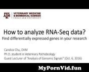 mypornvid fun how to analyze rna seq data find differentially expressed genes in your research preview hqdefault.jpg from sample of c2mc mirnas 5p binding to the ac rich sequence of mouse igf2 utr q320 jpg
