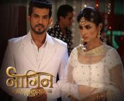 naagin 1555155929.jpg from nagin tv show on colors pic
