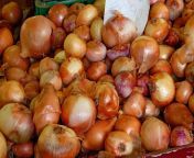 onion allium cepa bulbs.jpg from onion