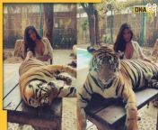 7093295 poonam pandey video with tiger.jpg from जानवर लडकी सेकसी बिड