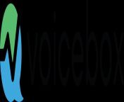 final new voicebox logo.png from vocebxxx