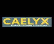 caelyx logo.png transparent.png from caelyx
