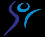 dsf logo.png transparent.png from seekingtg频道（bailuhaoshang） dsf