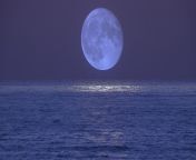 when the moon is near the horizon it appears larger.jpg from moon very h