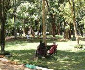 how muliro gardens c617a6c62d8a82.jpg from bush sex in muliro garden kenya