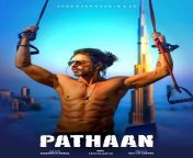 pathan shahrukhkhan bollywoodsuperhithindimovieposter ce29dea2 91e6 43b6 81cc 1e2e0a1c1ae0 jpgv1675251704 from pathan small forced in forest