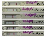frozen embryo transfer pregnancy test results ivf natalist jpgv1665688454 from 15 mba sex video