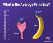 what is average penis size 89d353d8 6c16 47a5 9832 5c4fe736c55a jpgv1645821014 from 1st time sex big penis sea