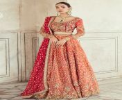 elegant pakistani bridal lehnga dress for wedding 2 1800x1800 jpgv1574607953 from pakistani auhty dress