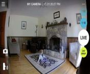 camera view jpgautowebpquality60width570 from cheating forced hidden cam village sex scandal