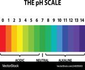 colored ph scale rainbow isolated vector 24935900.jpg from ph page