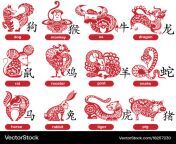 12 chinese zodiac signs vector 18257230.jpg from 12 china