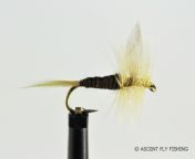 ginger quill40172 1652725828 jpgc2 from ginger lure valery
