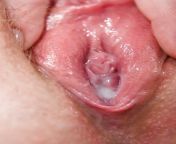 88018727 016 4fa5.jpg from feamale wet pussy vagina close up pics