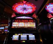 casino slot gambling machine jackpot gamble luck gaming 908125 jpgd from 万博mx最火公司赌注投注站jpq7 cc fdy