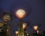 singapore garden by the bay supertree singapore landmark bay park architecture asia 807500 jpgd from 天际亚洲娱乐城最新网址网址：ws6 cc ixh
