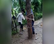 19lir6lg man beats husband in rajasthan 625x300 30 july 22.jpg from desi naked at tree model dasha anya
