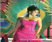 anushka hot photos 40 400x550.jpg from anushka shetty tamil movies hot