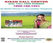 kisan call centre bhopal helplines for farmers 2ngh9zc.jpg from bhopal call numbers