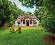 colonial villas in sri lanka somaland estate15.jpg from srilankan vill