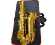 golden white nickle brass saxophone.jpg from meerut sax